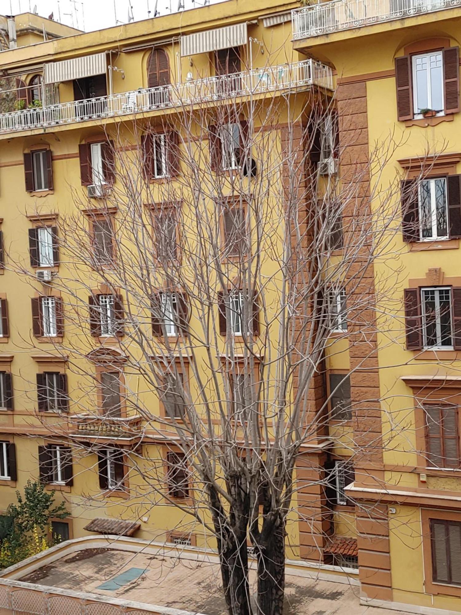 Studio Flat Trastevere 로마 외부 사진